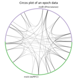 Full Correlation Matrix Analysis Tutorial